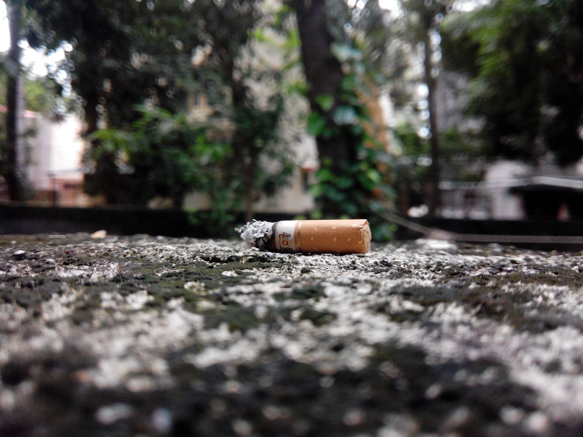 moi(s) sans tabac