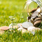 plant growing in glass pot coins for money around green grass