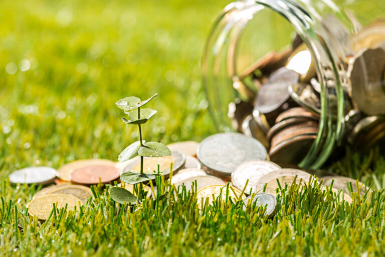 plant growing in glass pot coins for money around green grass