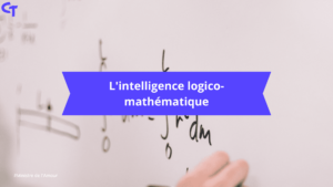 L'intelligence logico-mathématique